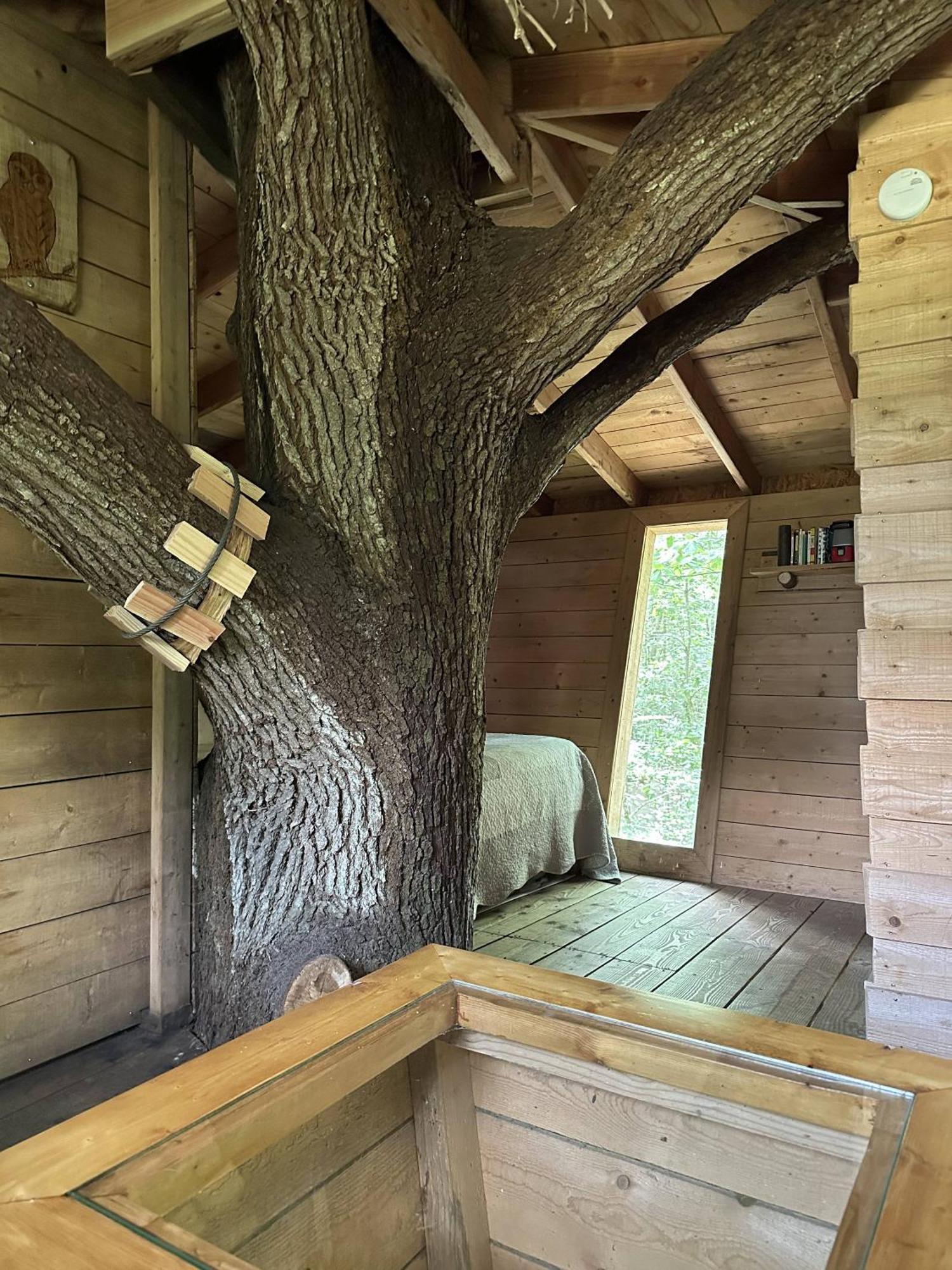 Les Ecolodges De L'Orbiere Forcé 外观 照片