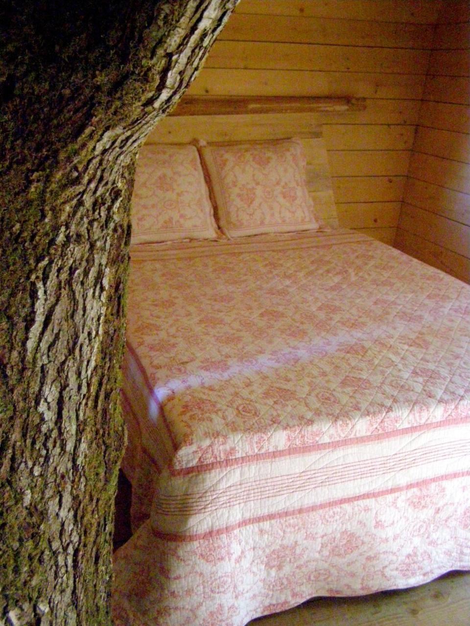 Les Ecolodges De L'Orbiere Forcé 外观 照片