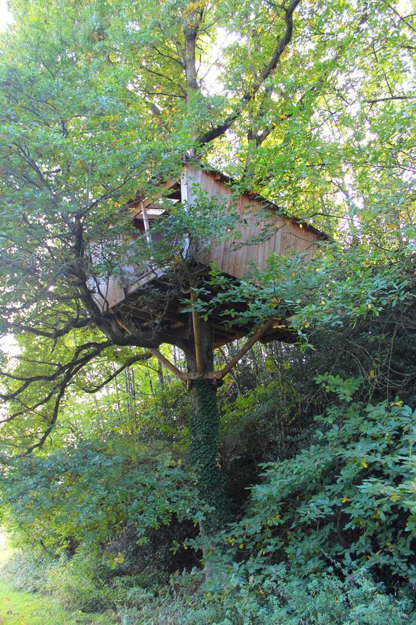 Les Ecolodges De L'Orbiere Forcé 外观 照片