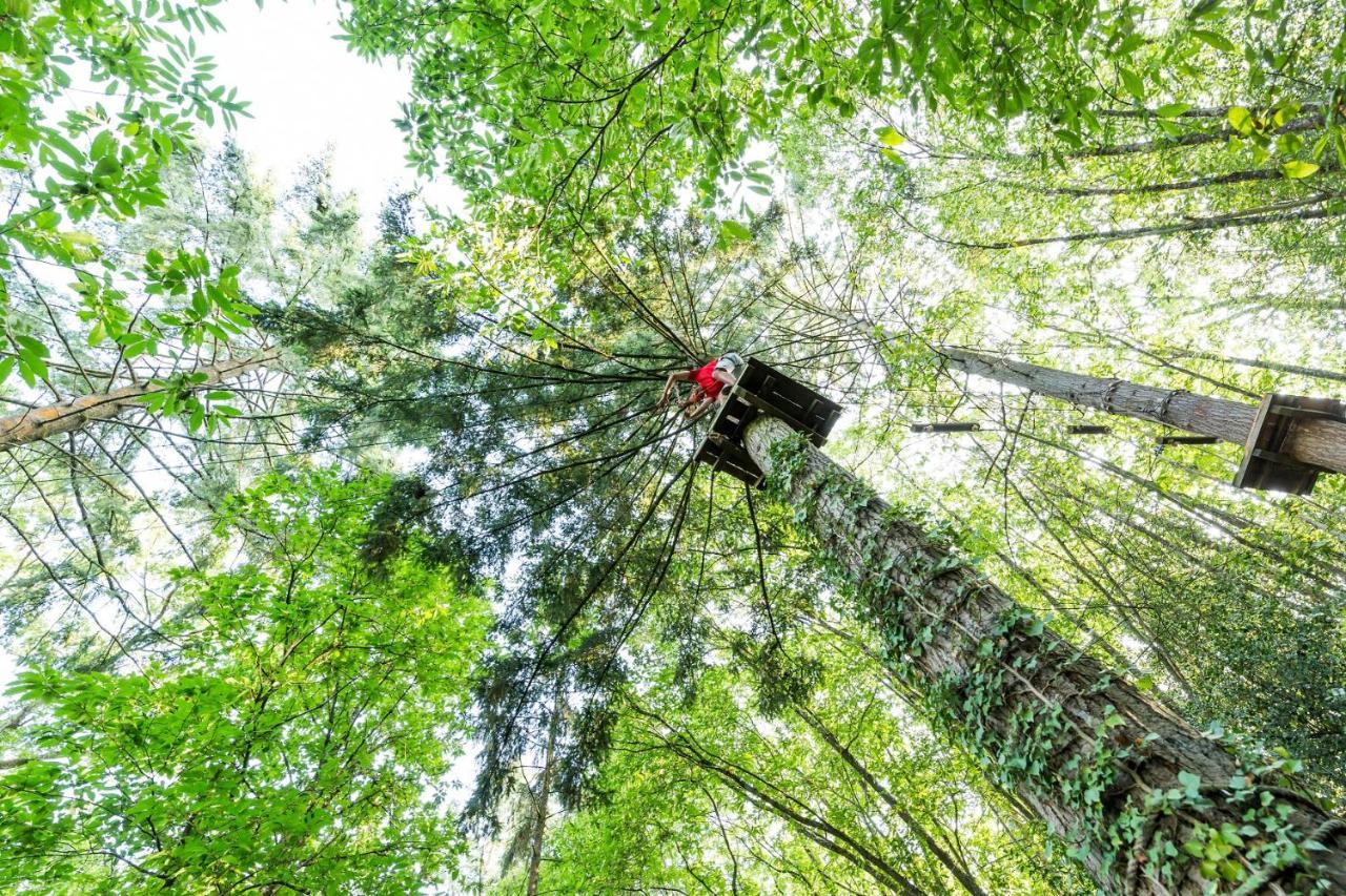 Les Ecolodges De L'Orbiere Forcé 外观 照片